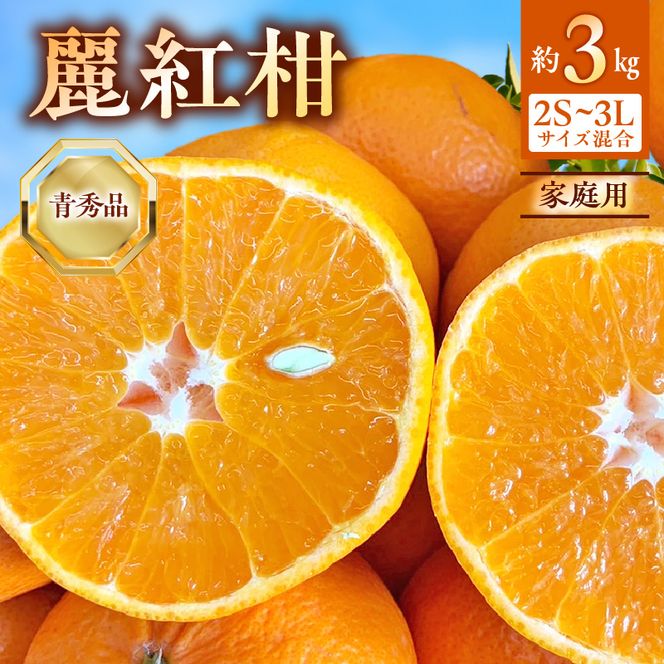【2027年先行受付】麗紅柑 (れいこう) 青秀品 (家庭用) 2S～3Lサイズ 3kg 和歌山有田産_BF6063