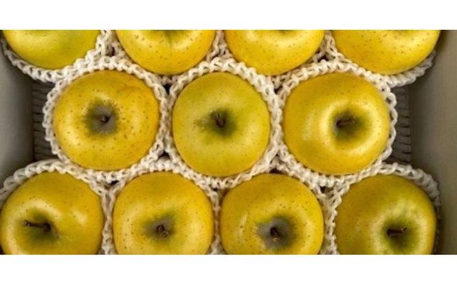 りんご しなのゴールド5kg スマートフレッシュ加工