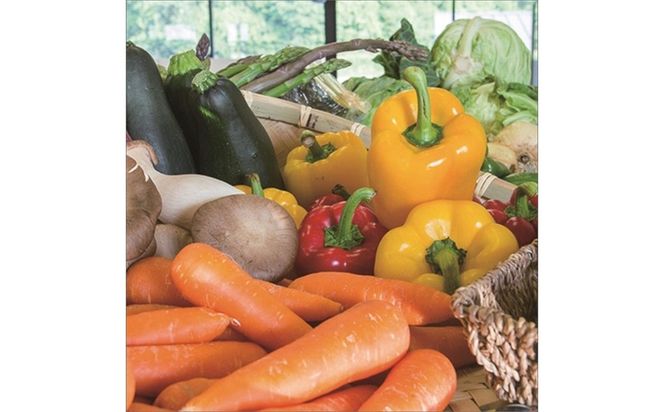 旬の野菜 5～8種詰め合わせと京都・京丹後産コシヒカリ2kgセット 国産 新鮮 お試し おまかせ お楽しみ　京野菜　朝採れ 季節の野菜 食品 お取り寄せ　お米 ごはん ご飯 こしひかり おにぎり 白米 ふるさと納税 米　TO00132