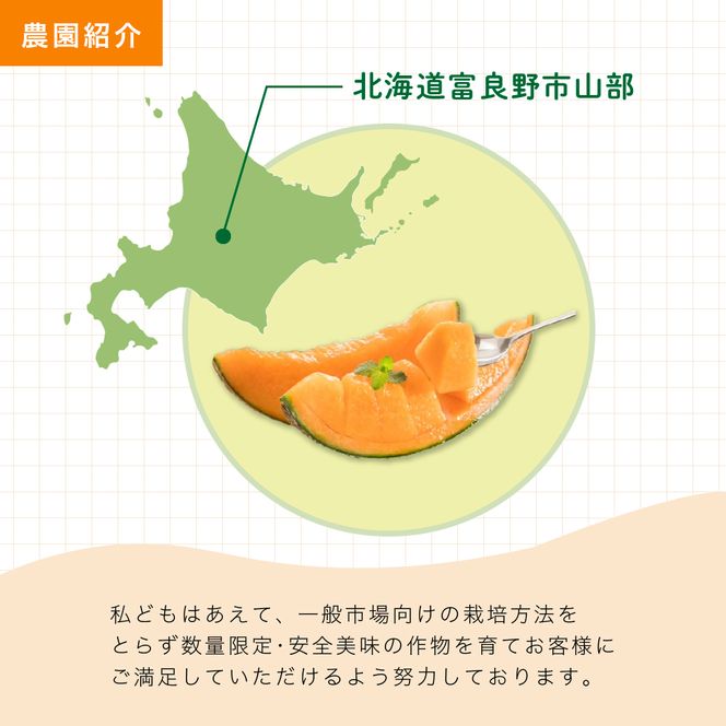 【2026年6月発送】ふらの山部の絶品 メロン『鳳凰』2L 2玉 計3.6kg以上 フルーツ 果物