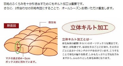 【19.5-1】夏に使う羽毛布団 プレミアムゴールドラベル 薄掛け ダブル 190×210cmポーランド産グース93％ 日本羽毛製品共同組合品質推奨ラベル付き 肌掛け 羽毛 掛け布団 立体キルト　251-000284-20
