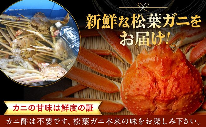 1021.【活】足1本なし　訳あり松葉ガニ　並1枚（500～600g前後）【着日指定不可】※2026年11月上旬～2027年3月下旬頃に順次発送予定《かに カニ 蟹》 313726_AL031VC01