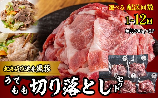 黒豚切り落とし（うで・もも） 300g×5 選べる配送回数 1回 / 2回 / 3回 / 4回 / 6回 / 10回 / 12回 SKN094-v