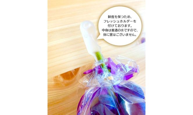 【田口ファミリーファーム】旬のぶどう(4房~8房) N053-YZD0143