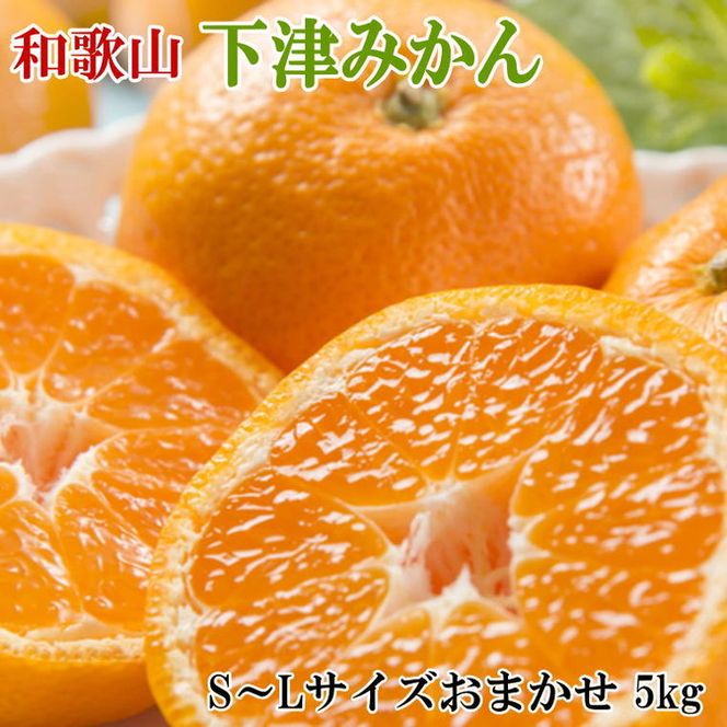 【産直・秀品】和歌山下津みかん約5kg（S～Lサイズおまかせ）