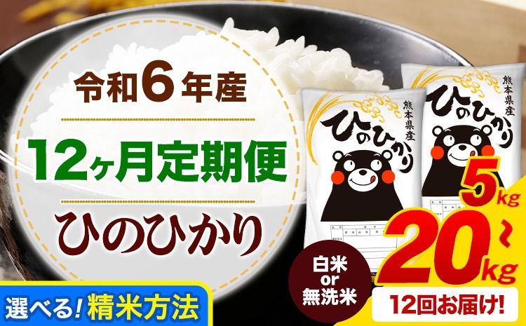 [12ヶ月定期便]令和6年産 無洗米 も選べる ひのひかり 定期便あり 5kg 10kg 15kg 20kg [申込み翌月から発送]令和6年産 熊本県産 ふるさと納税 無洗米 白米 精米 ひの 米 こめ ふるさとのうぜい ヒノヒカリ コメ お米---mifune_lcl_164_mo12num1---