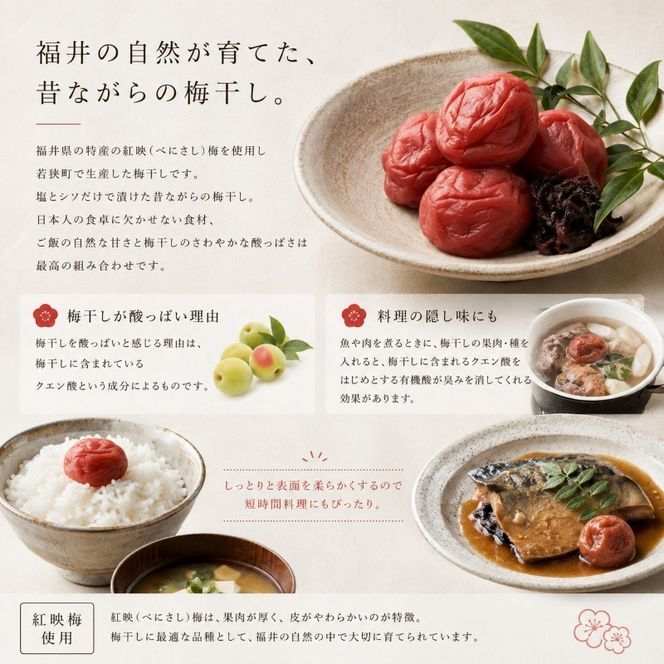 【訳あり】大入り梅干し130g×3袋 合計 390g 【保存容器付き】 発酵食品 昔ながらの梅干し すっぱい しそ漬け 塩分18％ Lサイズ 紅映梅を使用 福井県の特産 訳ありはパッケージ変更のため