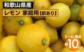 【先行予約】【訳あり・ご家庭用】和歌山県産 レモン 約10kg S～4Lサイズ混合 柑橘