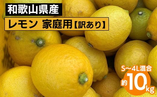 【先行予約】【訳あり・ご家庭用】和歌山県産 レモン 約10kg S～4Lサイズ混合 柑橘
