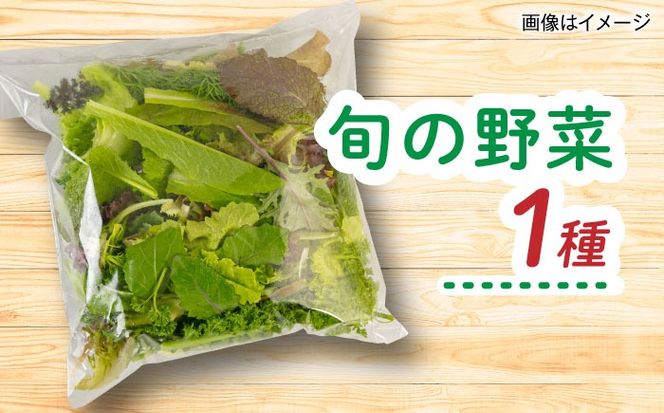 【全6回定期便】糸島産 魚 米 野菜 果物 厳選詰め合わせ MINORI BOX Sサイズ 糸島市 / emma.Inc / 米 魚 野菜 詰め合わせ[AOP021]