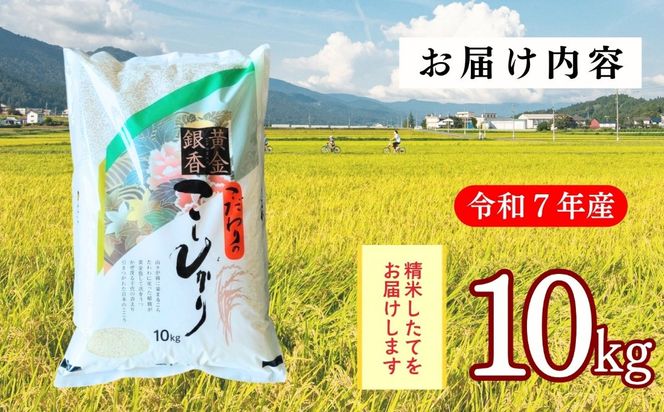 【令和7年産】黄金銀香  飯山産 コシヒカリ 精米 10kg（10kg×1袋）（Cr-002）