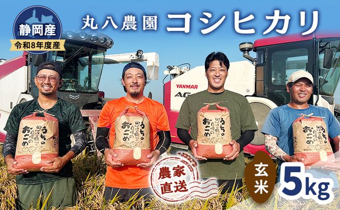 【予約】令和8年度産 静岡産 コシヒカリ 玄米 5kg 米 コメ こしひかり コシヒカリ 袋井市 静岡県