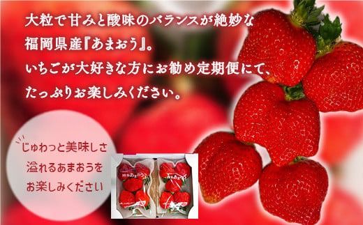 【期間限定発送】 いちご 定期便 あまおう 2p 3回 総計6P [THE FARM_strawberry 福岡県 宇美町 um40azo780012] イチゴ 苺 フルーツ 果実 甘い 小分け
