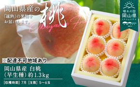 桃 2026年 先行予約 白桃 早生種 約1.3kg  5～6玉 もも モモ 岡山県産 国産 フルーツ 果物 ギフト