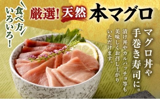 【 定期便 5回 】 厳選天然本マグロ 600g | 大トロ 中トロ 赤身 食べ比べ 刺身 刺し身 さしみ 海鮮丼 寿司 魚 ふるさと納税 限定 食べ比べ まぐろ 鮪 魚 魚介類 刺身 海鮮 まぐろ丼 手巻き寿司 冷凍 サク とろ 漬け丼 ふるさと納税定期便 ふるさと納税マグロ 20万円 10万円 頒布会 訳あり 人気 定期便 数量限定 期間限定 訳アリ 訳あり わけあり 高知県 室戸市