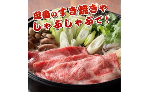 ※発送時期が選べる※宮崎牛霜降りすきしゃぶ 700g (350g×2) 【 肉 牛肉 国産 宮崎県産 宮崎牛 黒毛和牛 和牛 すき焼き しゃぶしゃぶ 焼きしゃぶ 4等級  A4ランク 肩ロース 】 [E11121]