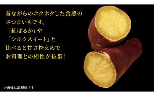 さつまいも 【 選べる品種 】 5kg / 10kg ( 箱込 ) サツマイモ さつま芋 芋 いも 野菜 焼き芋 スイーツ おやつ 国産 シルクスイート 紅はるか 紅あずま ふくむらさき ほしあかね