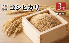 香川県産コシヒカリ（玄米 3kg）玄米 お米