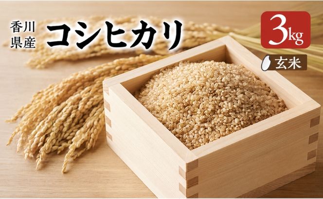 香川県産コシヒカリ（玄米 3kg）玄米 お米