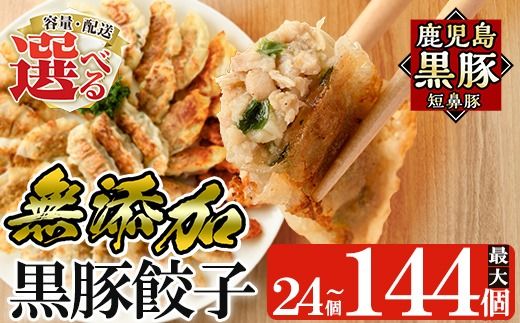 ＜容量・配送が選べる＞鹿児島黒豚「短鼻豚」無添加餃子 1パック 12個入 (24個・48個・96個・3回定期便)【鹿児島ますや】姶良市 ギョーザ 餃子 無添加 惣菜 おかず おつまみ 冷凍 黒豚 国産野菜 ぎょうざ a441 a442 a880 a1112