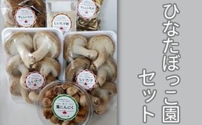 ひなたぼっこ園セット [No.383]