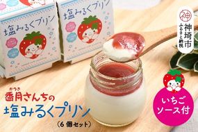 塩ミルクプリン～いちごソース付～【プリン ぷりん スイーツ イチゴ 苺 手土産 プレゼント ギフト】(H017115)