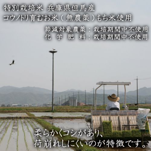特別栽培米 兵庫県但馬産 コウノトリ育むおもち（丸餅）農薬・化学肥料不使用 1袋 600g（約18個） / 無添加 切り餅 個包装 無農薬 化学肥料不使用 但馬産 添加物不使用 常温保存 国産 おもち お餅 餅 まる餅 白餅 焼き餅 雑煮 お正月 正月用