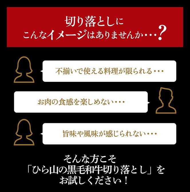 訳あり 京都産黒毛和牛(A4,A5) 切り落とし スライス 300g 京の肉 京都黒毛和牛専門店 ひら山 ｜ 不揃い 和牛 牛肉 国産 京都 丹波産 国産 ブランド牛 冷凍 ふるさと納税牛肉