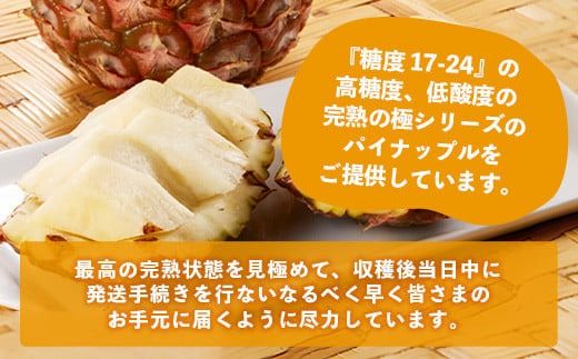 【マツコの知らない世界で絶賛！】《2026年4月～7月順次発送》【先行予約】パイナップル好きにおすすめ！満足のパイナップル3品種定期便【 沖縄 石垣 ピーチ ホワイトココ ジュワリー パイン パイナップル 完熟 セット フルーツ デザート 食べ比べ 定期便 TV テレビ 紹介 マツコ 】 TF-36_R8