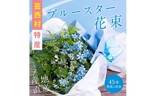 【CF-R7hbk】JJM003　《先行予約》芸西村特産ブルースター花束（約45本程度の花束）