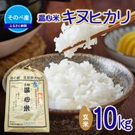 【寄付額を見直しました】 キヌヒカリ10kg 玄米×1 10kg袋 令和7年度産　そのべ産 温心米 お米 10kg 単一原料米 きぬひかり 丹波 精米 玄米 こめ コメ 京都