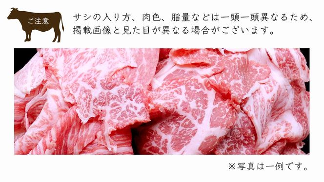 【 12ヶ月 定期便 】『 常陸牛 』 切り落とし 1kg ( 500g × 2パック ) 牛肉 国産 牛 肉 切り落とし肉 切落し 小分け お肉 A4 A5 ブランド牛 黒毛和牛 和牛 国産黒毛和牛 国産牛 すき焼き すきやき ( 茨城県共通返礼品 )