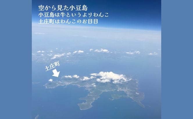 小豆島産オリーブオイル 100% 搾りたて 小豆島産三代松家オリーブオイル (エクストラバージンオイル・濾過)67ml 2本