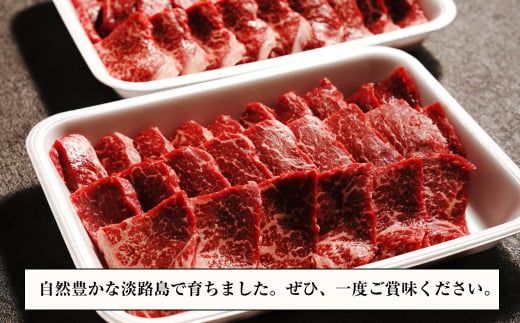 淡路牛 赤身 焼肉セット 1kg（500g×2P)  焼肉セット