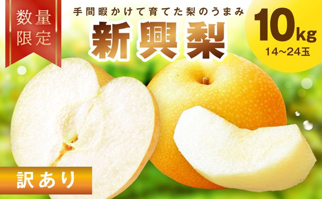 【先行予約／数量限定30】訳あり 新興梨 10kg（2026年10月中旬～発送） FK00032