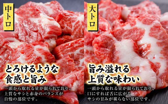 国産 馬刺し 6種 計280g （ 上赤身 、 ロース 、 中トロ 、 大トロ 、 フタエゴ 各50g コウネ 30g ） 馬肉 馬 肉刺し 生食 刺身 冷凍 郷土料理 熊本県 八代市