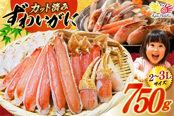 かに カット済 生 ずわいがに むき身 セット 総重量 750g (正味重量600g) 2-3Lサイズ [カネダイ 宮城県 気仙沼市 20565652] かに カニ ズワイガニ ずわい ズワイ 蟹 棒肉 ポーション かに鍋 かにしゃぶ 生ずわい