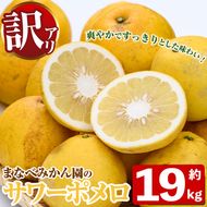 ＜先行予約受付中！2027年2月下旬以降順次発送予定＞訳あり！まなべみかん園のサワーポメロ(約19kg) 国産 鹿児島県産 阿久根市産 柑橘類 果物 フルーツ 数量限定 デザート 訳アリ 【有限会社まなべみかん園】akn034-23