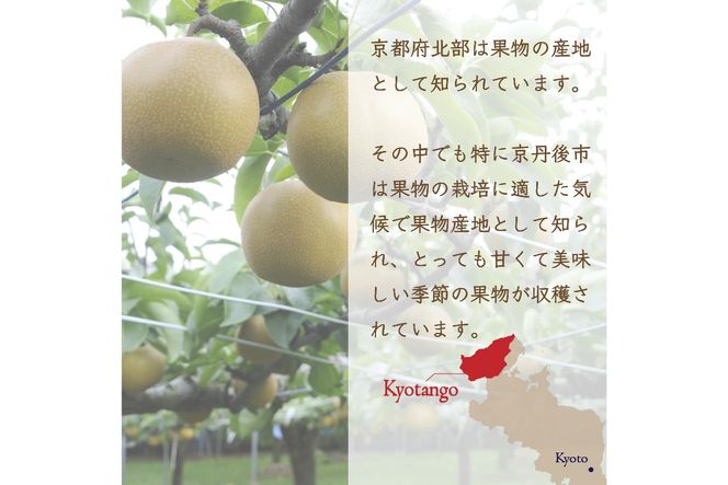 京丹後産　梨　ドライフルーツ　10袋　DE00149