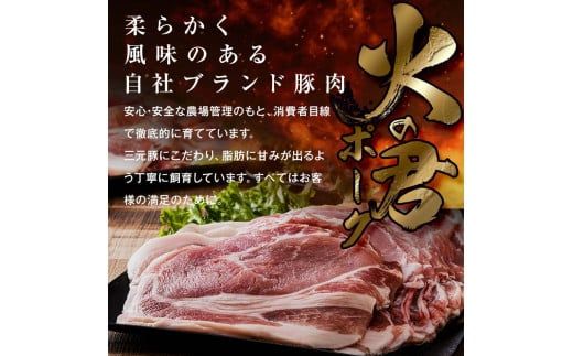 FK7-0019_【数量限定】熊本県産 火の君ポーク(登録商標) こま切れ 約3.1kg 豚こま 豚コマ 肉 豚肉 生姜焼き 豚汁 弁当 ストック 便利