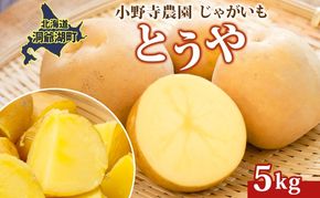 R8年産 先行受付 じゃがいも とうや 5kg 2026年9月下旬より順次出荷 ホクホク 甘い ポテトサラダ コロッケ 産地直送 お取り寄せ 国産 小野寺農園 北海道 洞爺湖町