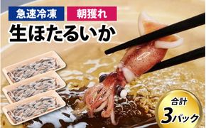 生 ホタルイカ 急速冷凍 【カネツル砂子商店】 / ほたるいか 冷凍 生 ホタルイカ刺身 ホタルイカしゃぶしゃぶ ホタルイカボイル ホタルイカ沖漬 [A-002011]
