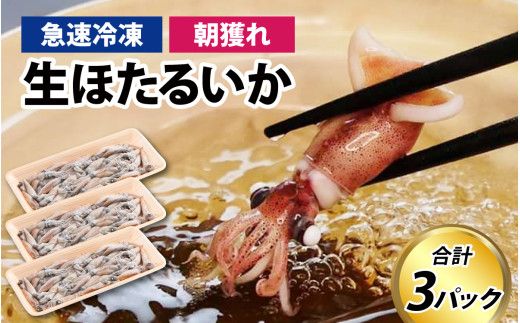 生 ホタルイカ 急速冷凍 【カネツル砂子商店】 / ほたるいか 冷凍 生 ホタルイカ刺身 ホタルイカしゃぶしゃぶ ホタルイカボイル ホタルイカ沖漬 [A-002011]