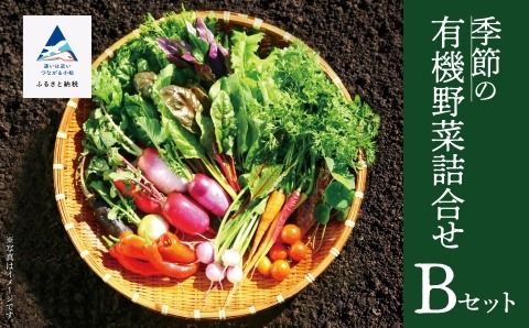 西田農園　季節の有機野菜詰合せ　Bセット 017002