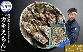 厚岸産 ブランドかき カキえもん LLサイズ 12個  牡蠣 魚介類 