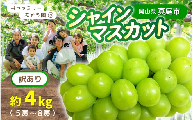 【訳あり】 ※2026年の予約です！※ 岡山県産 林ファミリーのシャインマスカット 約4kg（約5～8房）【2026年先行予約】 / ブドウ ぶどう 岡山 真庭市 マスカット 葡萄 果物 フルーツ 新鮮 人気 数量限定 お買い得 家庭用 お試し たっぷり ぶどう専門 【hfbd023-02】