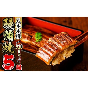 【数量限定】特大! 国産 八本木樽鰻の蒲焼(186g以上×5尾) c0-104