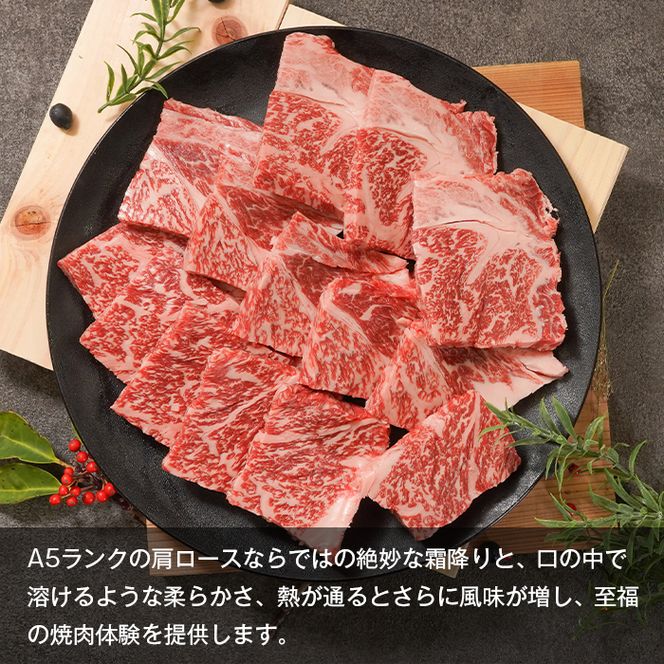 【A5ランク限定】淡路島産黒毛和牛 焼肉用 肩ロース 500g【神戸牛】    焼肉セット