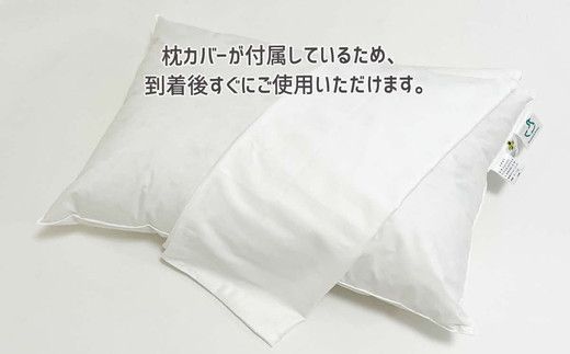 【2.6-3】ザ・ホテルピロー 枕カバー付き 50×70cmリサイクルダウン50％ 抗ウィルス加工 ダウンピロー　羽毛 【251-000507-20】