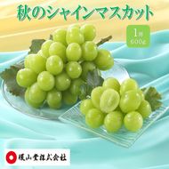 ぶどう 2026年 先行予約 秋のシャインマスカット 1房 600g ブドウ 葡萄 岡山県産 国産 フルーツ 果物 ギフト 環山堂